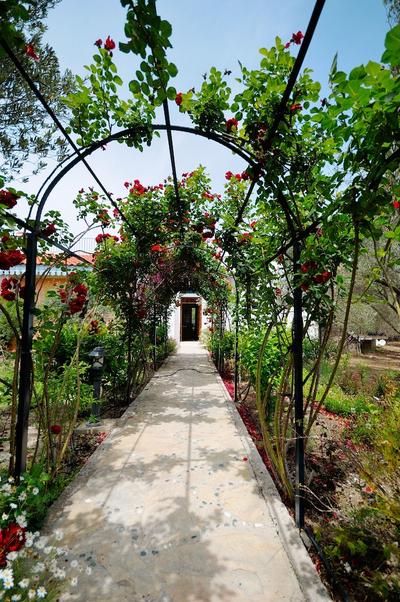 Olive Farm Guesthouse