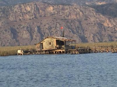 Rose Pension