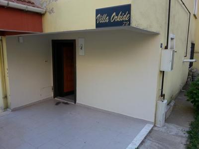 Villa Orkide