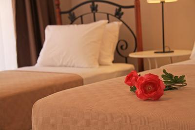 Lady Rose Boutique Pension