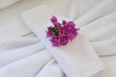 Pine Forest Hotel