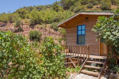 Helios Gunes Camping