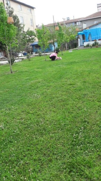 Berfin Pansiyon