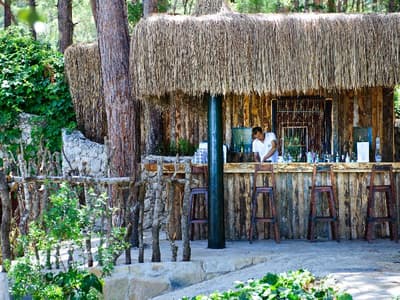 Liberty Lykia Adults Only (+16)