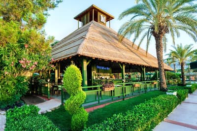 Gypsophila Club Marine