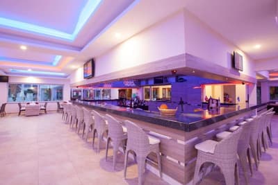 Hotel Catty Cats Garden