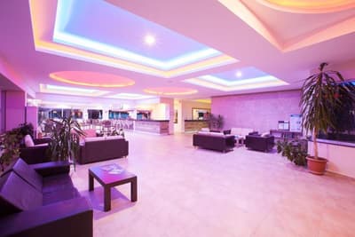 Hotel Catty Cats Garden