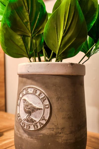 Elephant In The Room Hotel