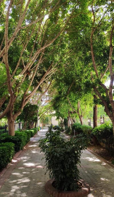 Alanya Sunset Apart Hotel