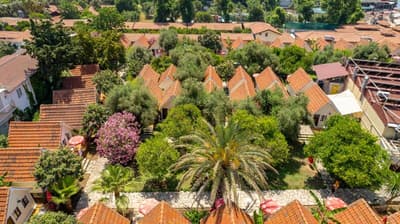 Clover Magic Nova Beach