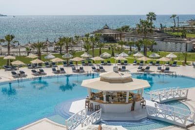 Cocos the Club Solto