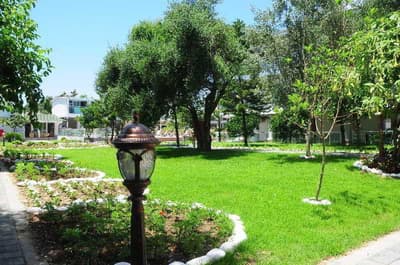 Clover Magic Altinkum Park