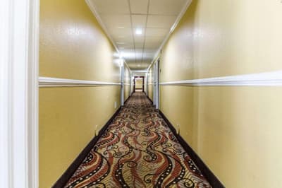 Rodeway Inn & Suites Jacksonville Near Camp Lejeun