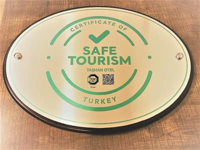 Bakirkoy Tashan Business & Airport Hotel