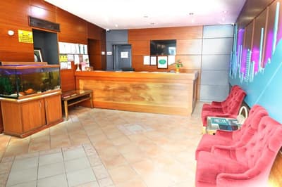 Bakirkoy Tashan Business & Airport Hotel