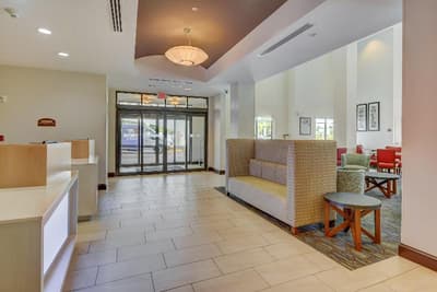 Holiday Inn Express & Sts Tampa USF Busch Gardens