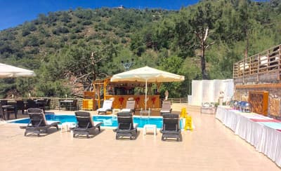 Tree House Kabak