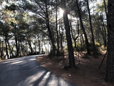 Hermes Hotel Özdere