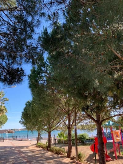 Hotel Fiesta Beach Didim
