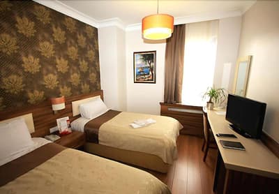 My Rose Hotel