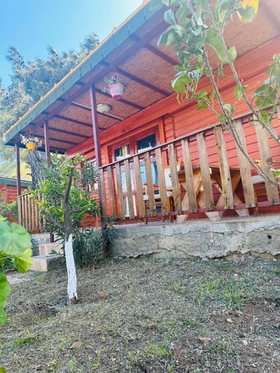 Felicity Hotel & Bungalows