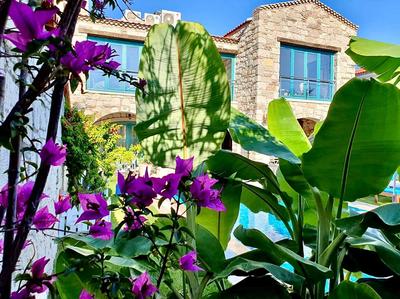Windmill Alaçatı
