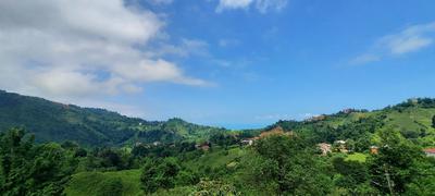 Patik Pansiyon