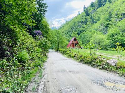 Senoz Dağ Evi & Bungalow
