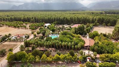 Antalya Orfe