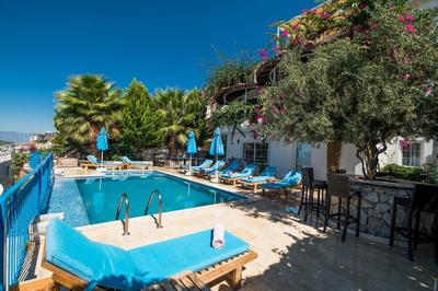 Villa Hava 