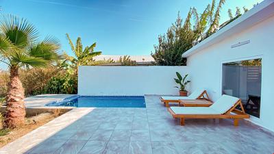 Agave Suites