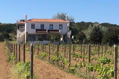 Casa Mini Bozcaada