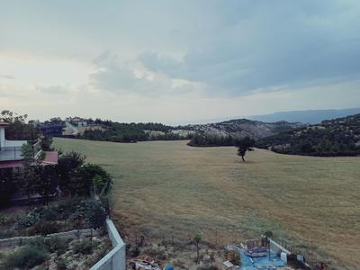 Kuzine Garden