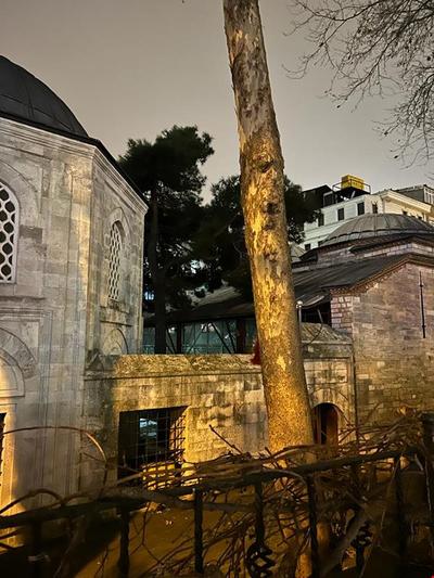 Vatan House