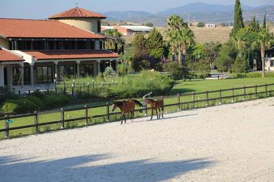 Konvoy Hotel & The Country Club