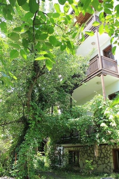 Kuscu Konak - Cafe Garden