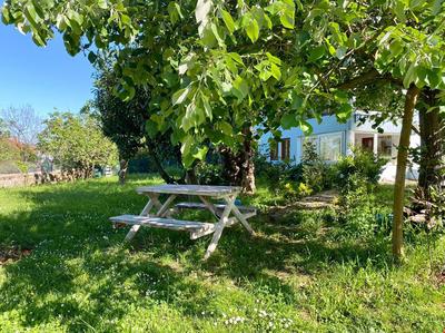 Maşukiye Home