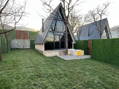 Pop Suit Bungalow