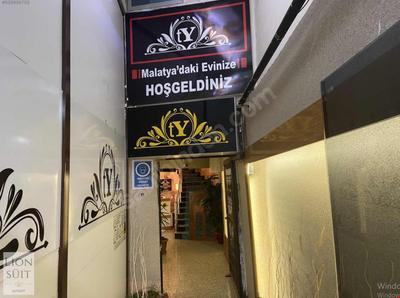 Lion Suites