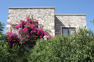 Bodrum Bitez BD468
