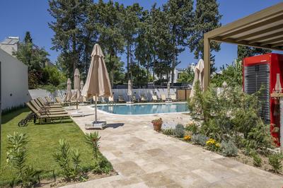 Olive Tree Bodrum