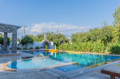 Villa Tulip Palas