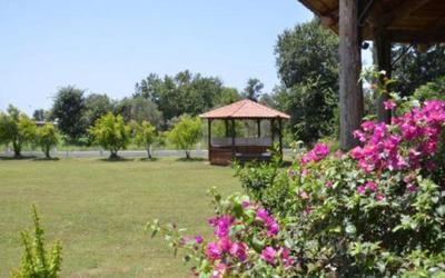 Villa Narenciye 