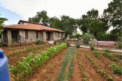 Villa Yaba 3