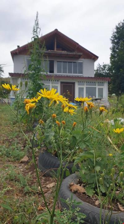 Arzu Pansiyon
