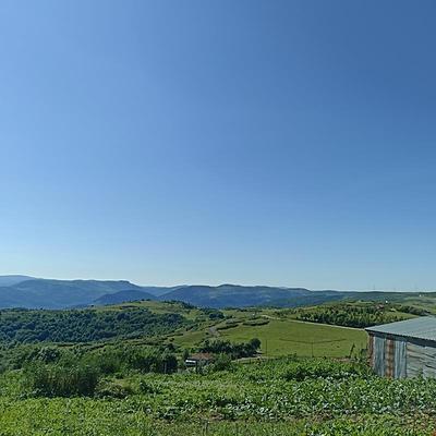Gür Home