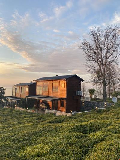 Delmare Suit Villa