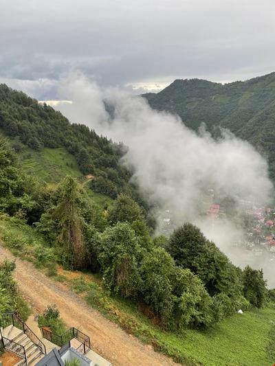Forest Bungalov
