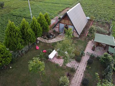Tenora Bungalov