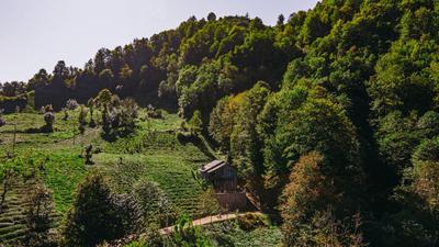 Efsun Tas Konak